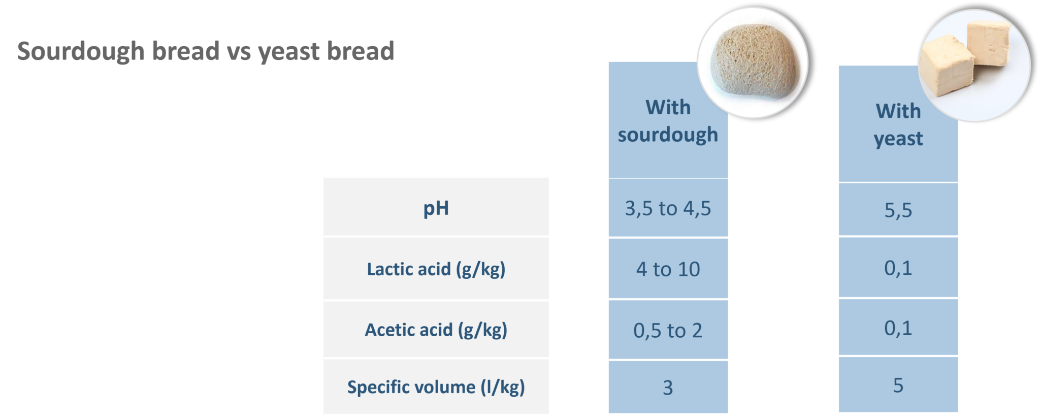 the-characteristics-and-benefits-of-sourdough-in-bakery